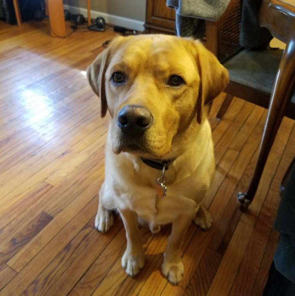 Meet your Posher, Kayla